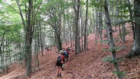 visitar navarra con niños|Navarra con niños, Navarra en familia ::。